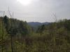 Hwy 421 N photo